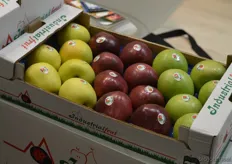 De appelen van het Italiaanse Industrialfrut worden onder meer verwerkt tot appelmoes.