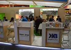 Het Argentijnse KingBerry zit - zoals de naam doet vermoeden - in de handel van bessen.