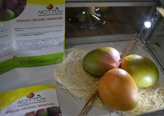 De bio-mango’s van dichtbij.