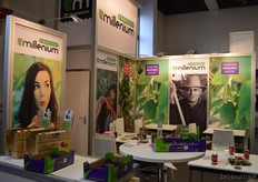 Het Spaanse Tropical Millenium handelt in mango’s, avocado’s en papaja’s.