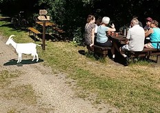 Magda Scholte van Geitenboerderij De Groote Stroe in Stroe vertelt dat het een stuk minder druk was dan tijdens eerdere open dagen. “Het was heel rustig. Het bijzondere is dat er altijd mensen komen die anders niet zouden komen. Die grijpen tijdens zo’n evenement hun kans en zijn vaak heel belangstellend. En je hebt dan ook echt de tijd om wat meer uitleg te geven. Daarom heb ik weer een heel goed gevoel aan de open dag overgehouden. Ik ben dan toch blij dat ik voor deze mensen toch de boerderij open heb gesteld.”