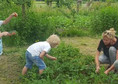 "Na haar bezoek aan Tuinderij Eyckenstein liep ze door naar Agnes Kruiden, dat verderop op het landgoed gevestigd is. "Het was zo leuk om de kinderen te zien genieten tijdens het aardbeien plukken."