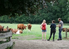 Ook Arjan en Karina Schermer van Kaasboerderij Brandrood in Ede stuurden een aantal foto's in.