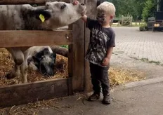 In vermomming met de koe knuffelen.