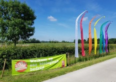 De volgende drie foto's zijn gemaakt op de open dat bij Tuin Salland. Dit is een biologisch tuinbouwbedrijf in Zwolle.