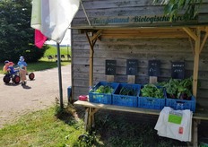 Op circa 4 hectare telen zij vele soorten groenten, die allemaal in Zwolle geconsumeerd worden. Tuin Salland nodigde alle abonnees uit om tijdens Lekker naar de BioBoer een kijkje te nemen op de tuin. Hier is volgens Ria Marteijn goed gehoor aan gegeven.