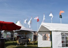 De vlaggen hangen uit. Dankzij de stevige wind was het ondanks de hitte goed uit te houden.