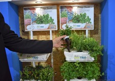 Hishtil introduceert een 3-pack bio-kruiden voor thuis.