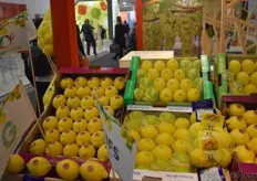 Pasam Agrumi laat naast de reguliere citroenen de bezoeker ook kennismaken met de biologische citroenen.