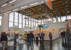 Hal 4A is een compleet nieuwe hal. Met extra veel daglicht, net als in de hal waar de Vivaness altijd gehouden wordt.