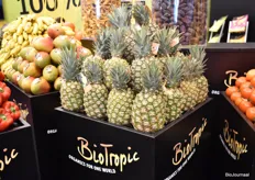Biologische ananas van Bio Trophic, van eigen productie.