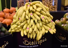 Biologische bananen van Bio Trophic, ook eigen productie.