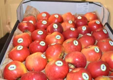 Bio appels van Urfruit
