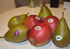 Bio peren van het merk Xenia, Belle bio en Bio peren Conferance. Een kleine greep uit het assortiment van Elshof Organic Fruit.