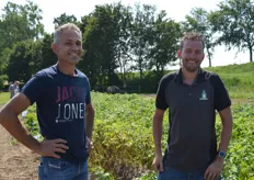 Koen Jasperse is met zijn bedrijf in omschakeling naar biologische akkerbouw. Rechts Matthijs Kloek van Den Hartigh.