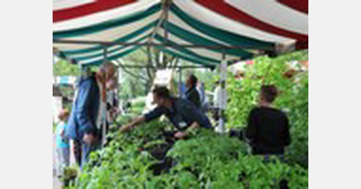 Biologische Tuinbouw Vereniging Elderveld organiseert IJsheiligenmarkt