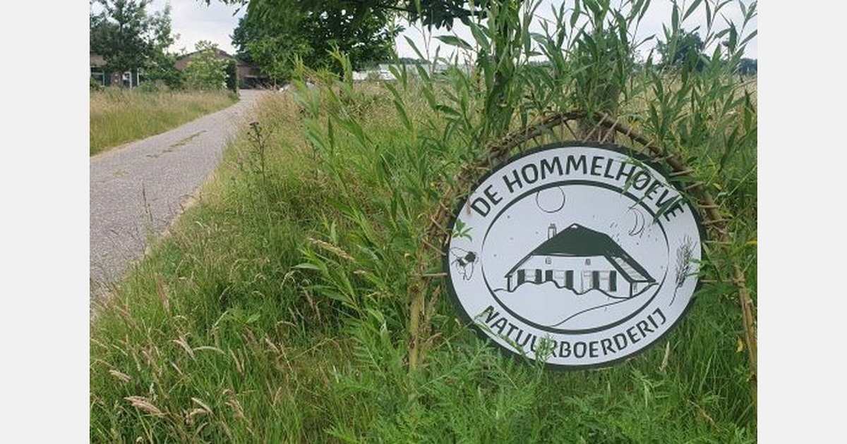 Open Dag bij De Hommelhoeve in Empe
