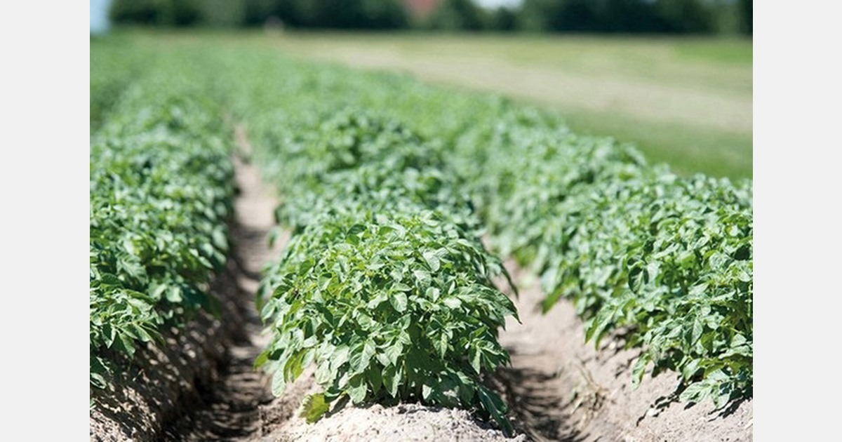 Bioteler stopt: te hoge werkdruk en extra administratie, maar terugkeer niet uitgesloten