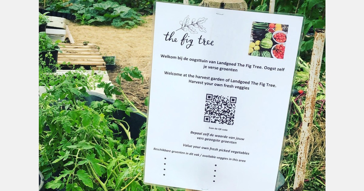 Biologische zadenmarkt in Rijsenhout keert terug op 7 maart