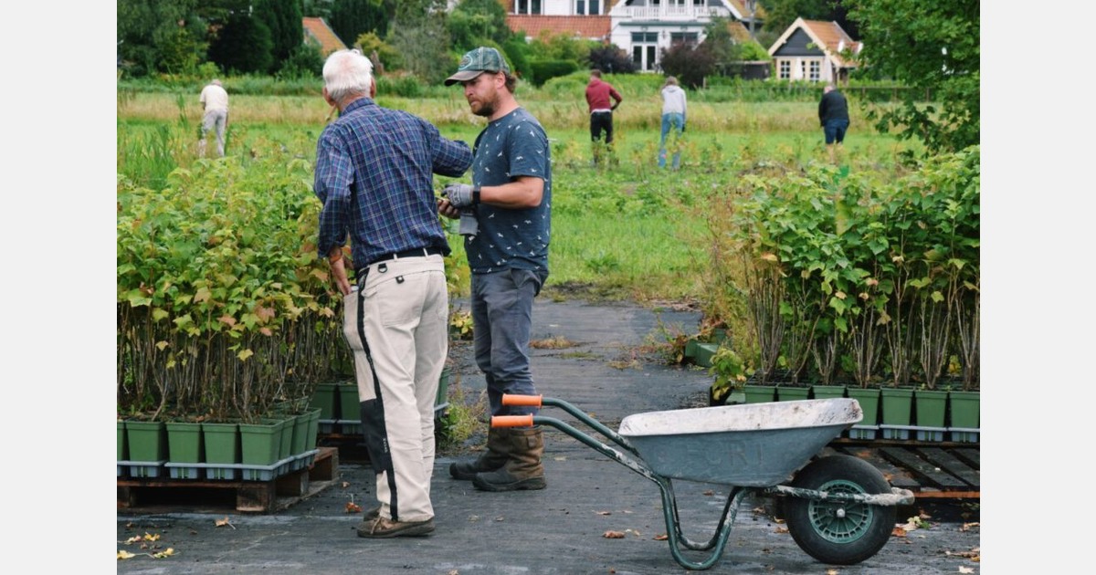 Zee van plastic in Wassenaar omgetoverd tot pluktuin en voedselbos