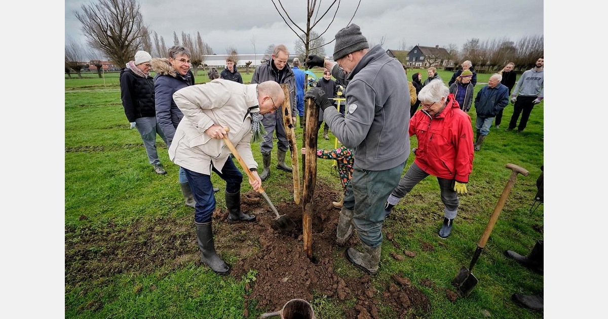 Eerste boom geplant op agroforestryperceel De Biowaard in Noordeloos