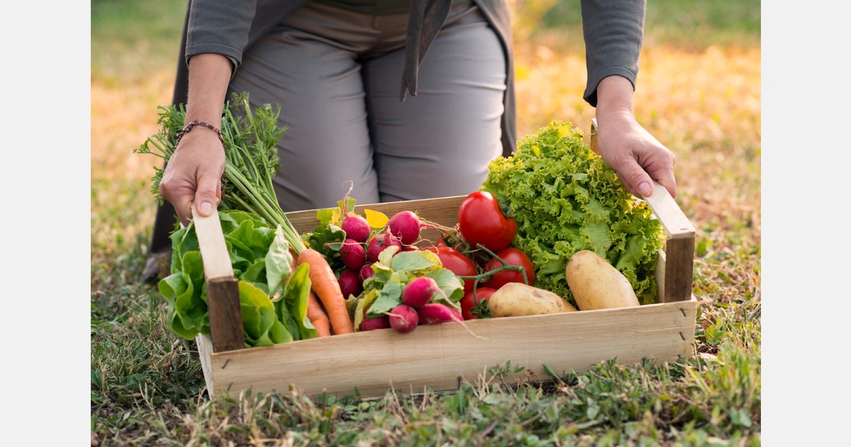 Pluktuinen Wijchen zoeken nieuwe oogstgenoten voor komend seizoen