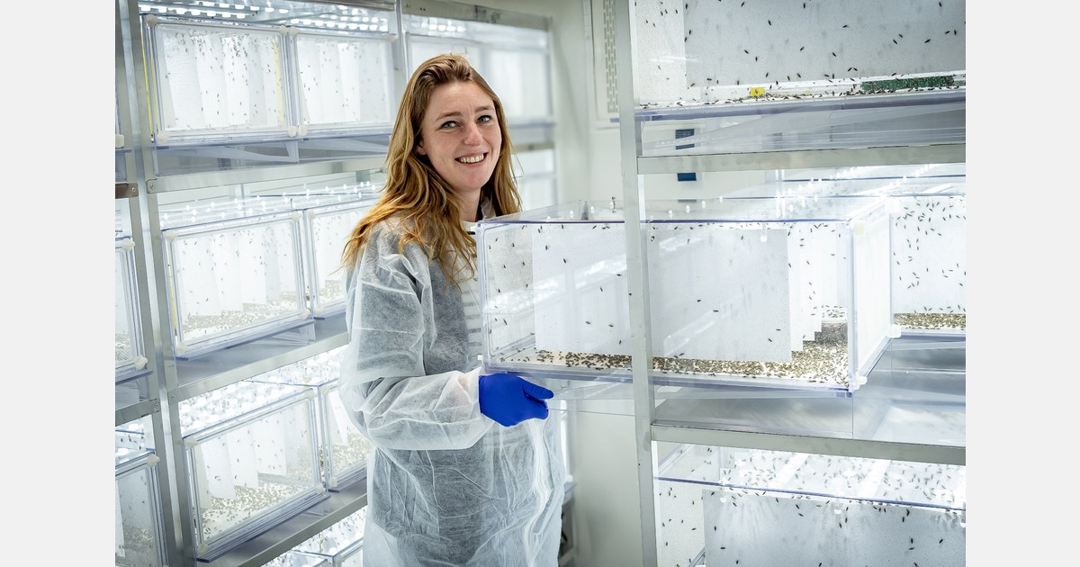 “Biologische plaagbeheersing vraagt om samenwerking op regionaal niveau”