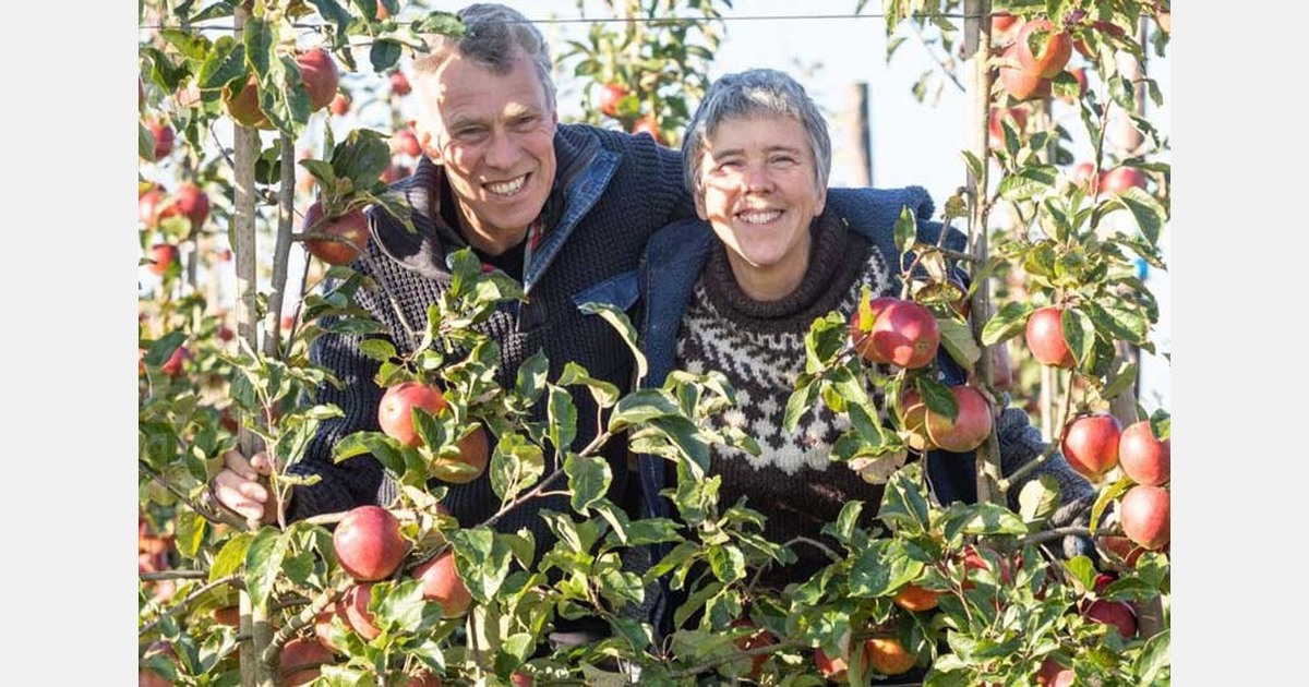 Eikemaheert in Loppersum bouwt verder aan biologische mix van teelten en korte keten