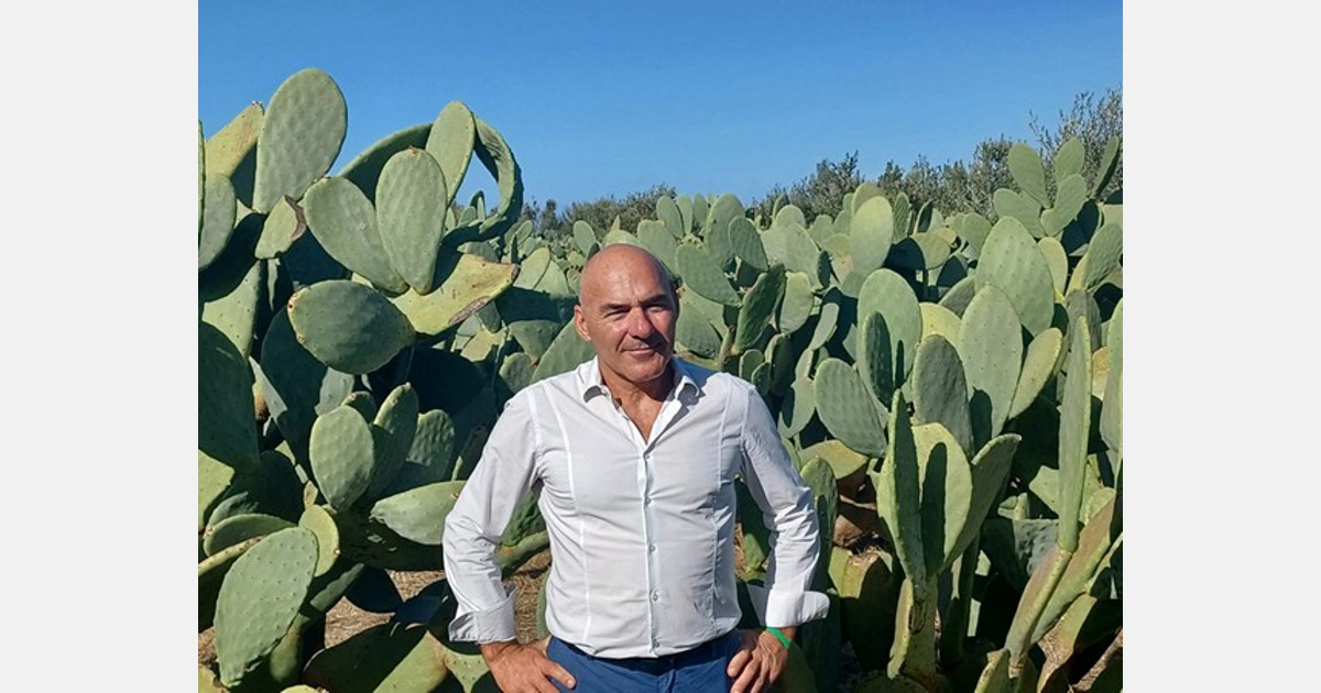 150 ettari di fico d’India biologico coltivati ​​in Italia