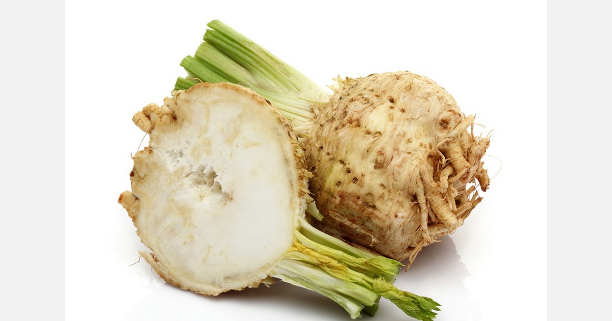 Bijeenkomst bio-opkweek knolselderij op 3 december in Van der Valk Vianen